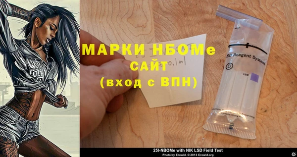 ГАЛЛЮЦИНОГЕННЫЕ ГРИБЫ Чекалин