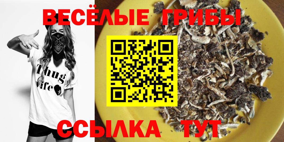 Галлюциногенные грибы мицелий Невинномысск